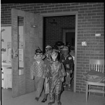 Negative, Sheet Film