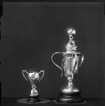 Negative, Glass plate