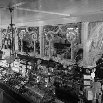 Negative, Glass plate