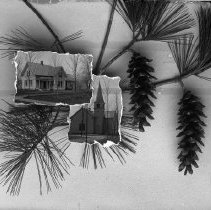 Negative, Glass Plate