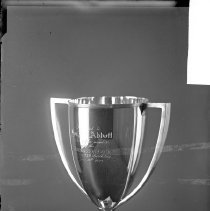 Negative, Glass Plate