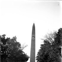 Negative, Glass Plate