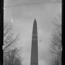 Negative, Glass Plate