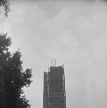 Negative, Glass Plate