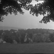 Negative, Glass plate