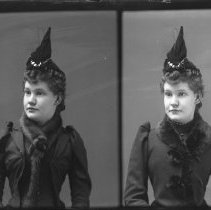 Negative, Glass plate