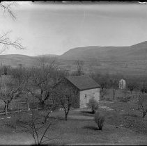 Negative, Glass plate