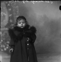 Negative, Glass plate