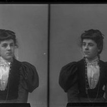 Negative, Glass plate