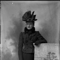 Negative, Glass plate