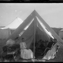 Negative, Glass plate