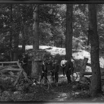 Negative, Glass plate