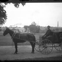 Negative, Glass plate