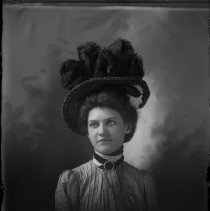 Negative, Glass plate