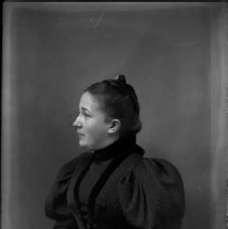 Negative, Glass plate