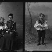 Negative, Glass plate