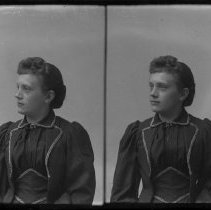 Negative, Glass plate