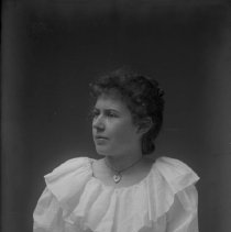 Negative, Glass plate