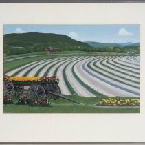 Moses Tomato Plants Near Moses Stand in Eagle Bridge, New York