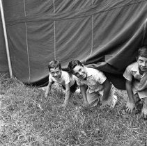 Negative, Sheet Film