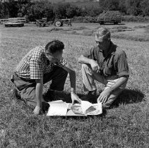 Negative, Sheet Film