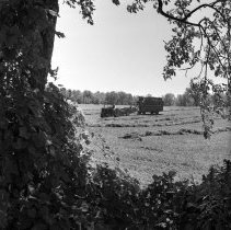 Negative, Sheet Film