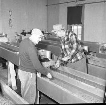 Negative, Sheet Film