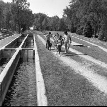Negative, Sheet Film