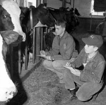 Negative, Sheet Film