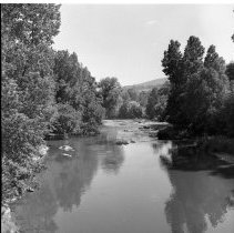 Negative, Sheet Film