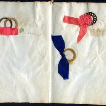 Hair Album Taft/Moore Family Related 1870s