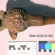 Root Club 2019-01-001