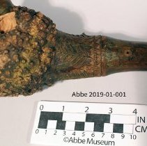 Root Club 2019-01-001