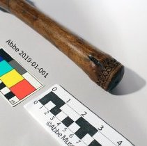 Root Club 2019-01-001