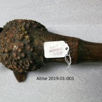 Root Club 2019-01-001