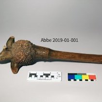 Root Club 2019-01-001