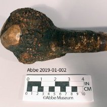 Root Club 2019-01-002