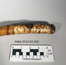 Root Club 2019-01-002