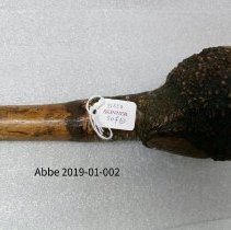 Root Club 2019-01-002