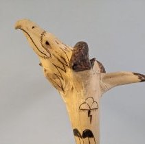 J. Francis Root Club