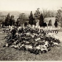 Cook family cemetery plot