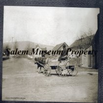 African American manl driving an ox cart