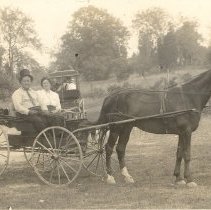 End Spring Top Buggy