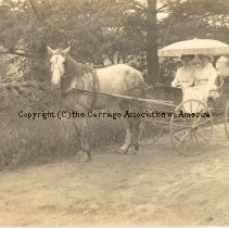 Buckboard Phaeton w/Canopy Top