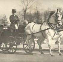 Mrs. Sullivan and her Victoria