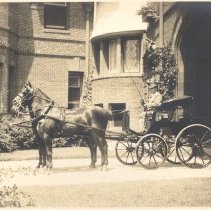 Mail Phaeton with Cane Work