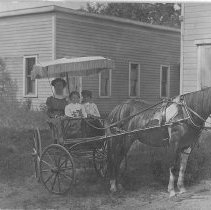 Pony to Runabout with Top