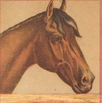 Finster Trade Card Front