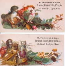 Trade Cards