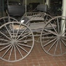 Early Concord - Left Side